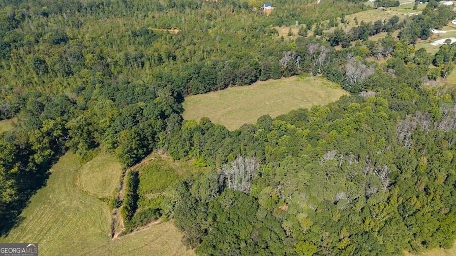 880 Burwell Mount Zion Road Carrollton - Photo 9