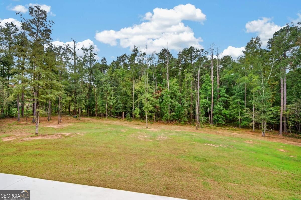 2290 Flat Rock Church Road White Plains - Photo 33