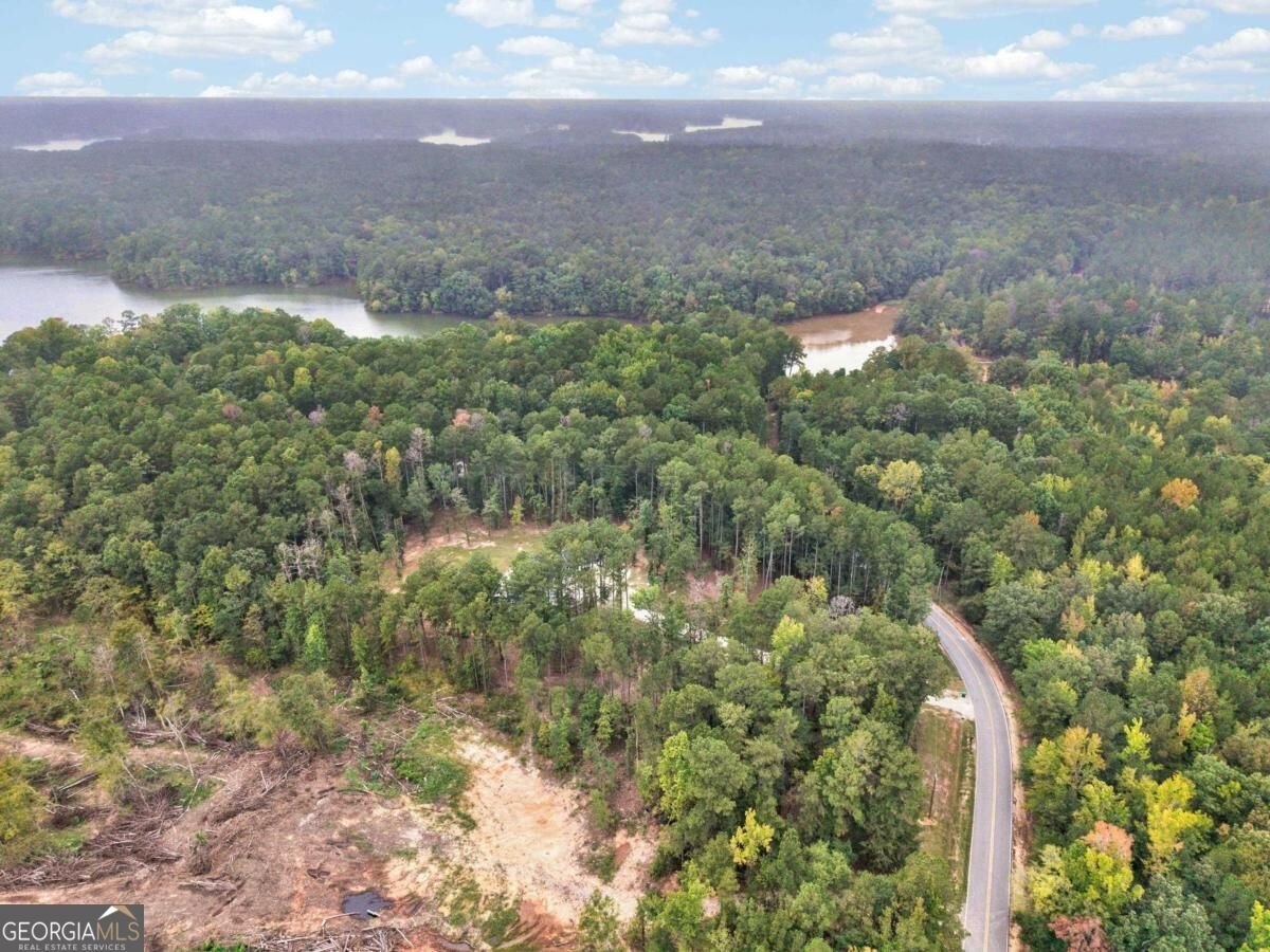 2290 Flat Rock Church Road White Plains - Photo 46