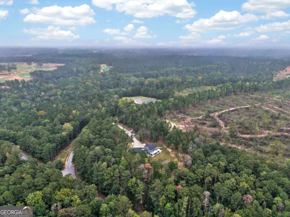 2290 Flat Rock Church Road White Plains - Photo 47
