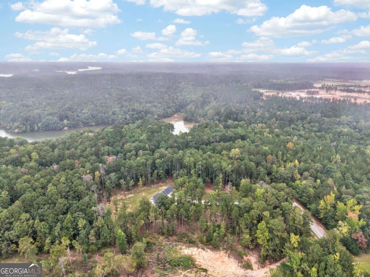 2290 Flat Rock Church Road White Plains - Photo 49