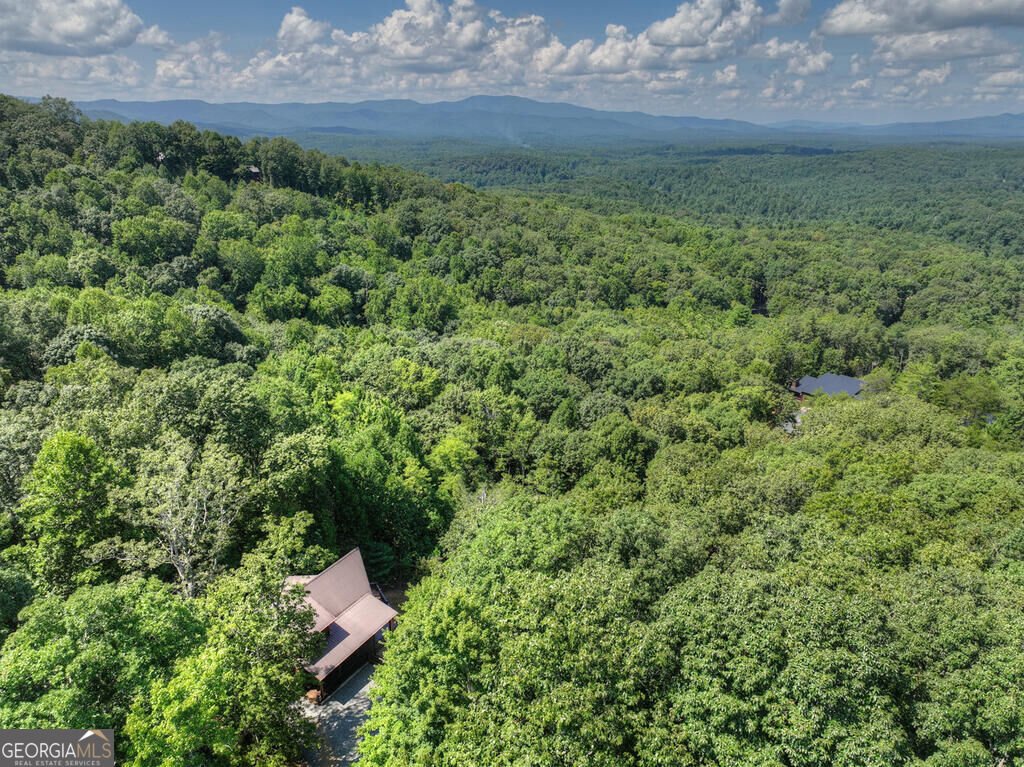 8 North Face Drive Blue Ridge - Photo 16