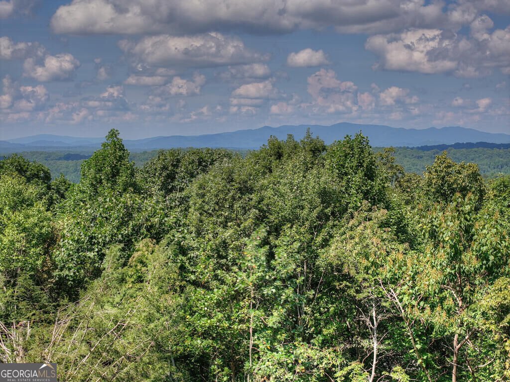 8 North Face Drive Blue Ridge - Photo 17