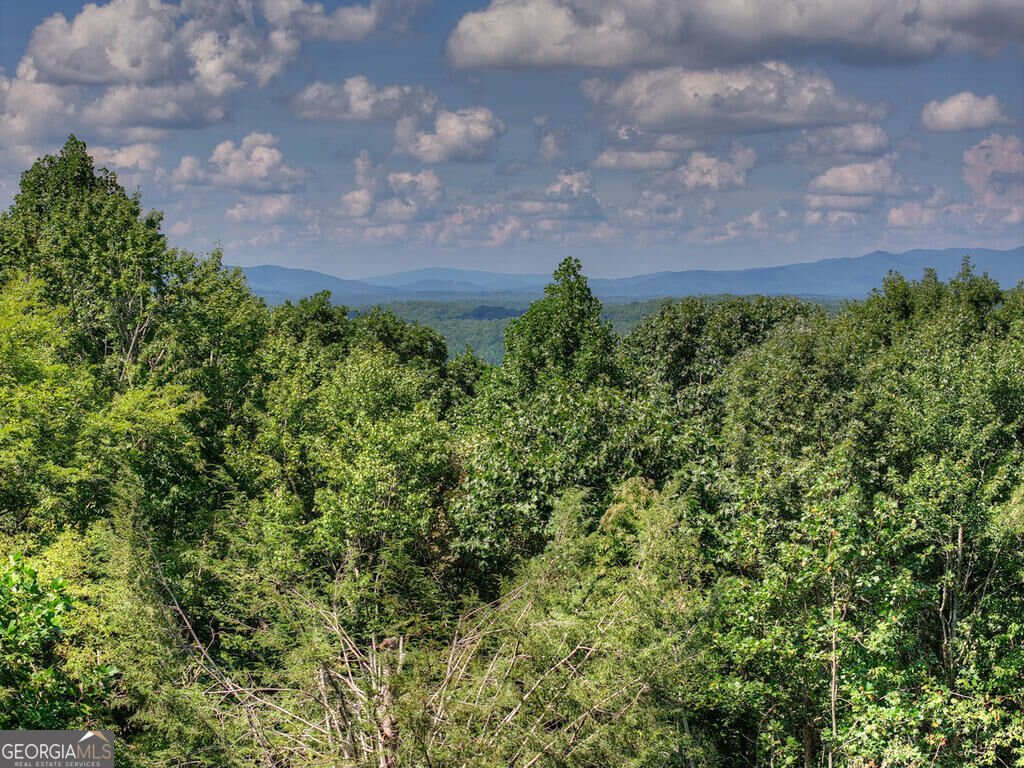 8 North Face Drive Blue Ridge - Photo 18