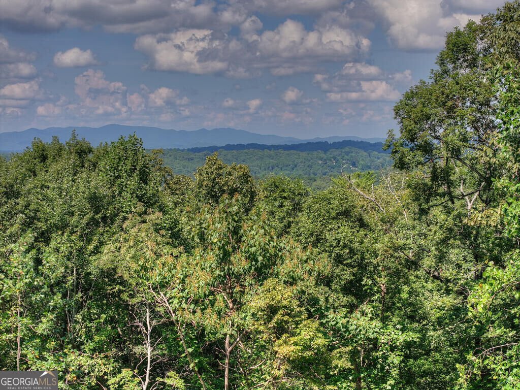 8 North Face Drive Blue Ridge - Photo 19