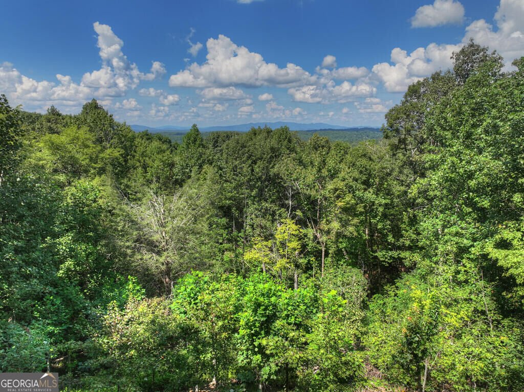 8 North Face Drive Blue Ridge - Photo 20