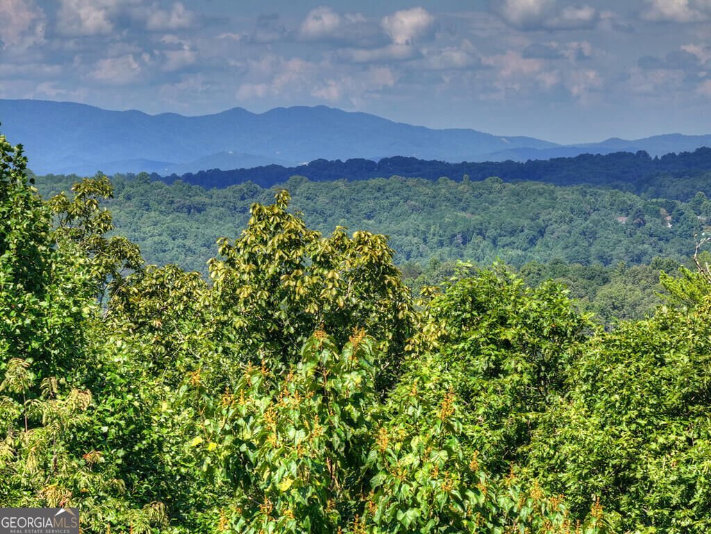 8 North Face Drive Blue Ridge - Photo 21