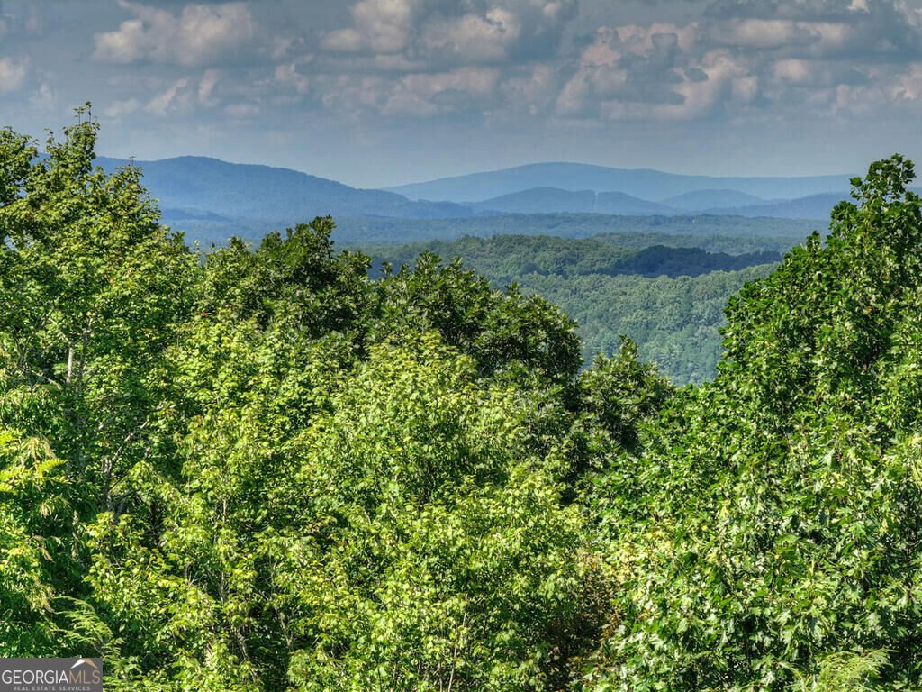 8 North Face Drive Blue Ridge - Photo 22