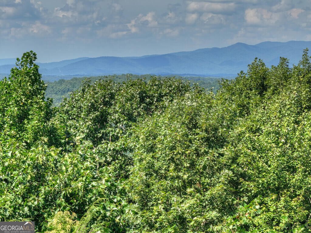 8 North Face Drive Blue Ridge - Photo 23
