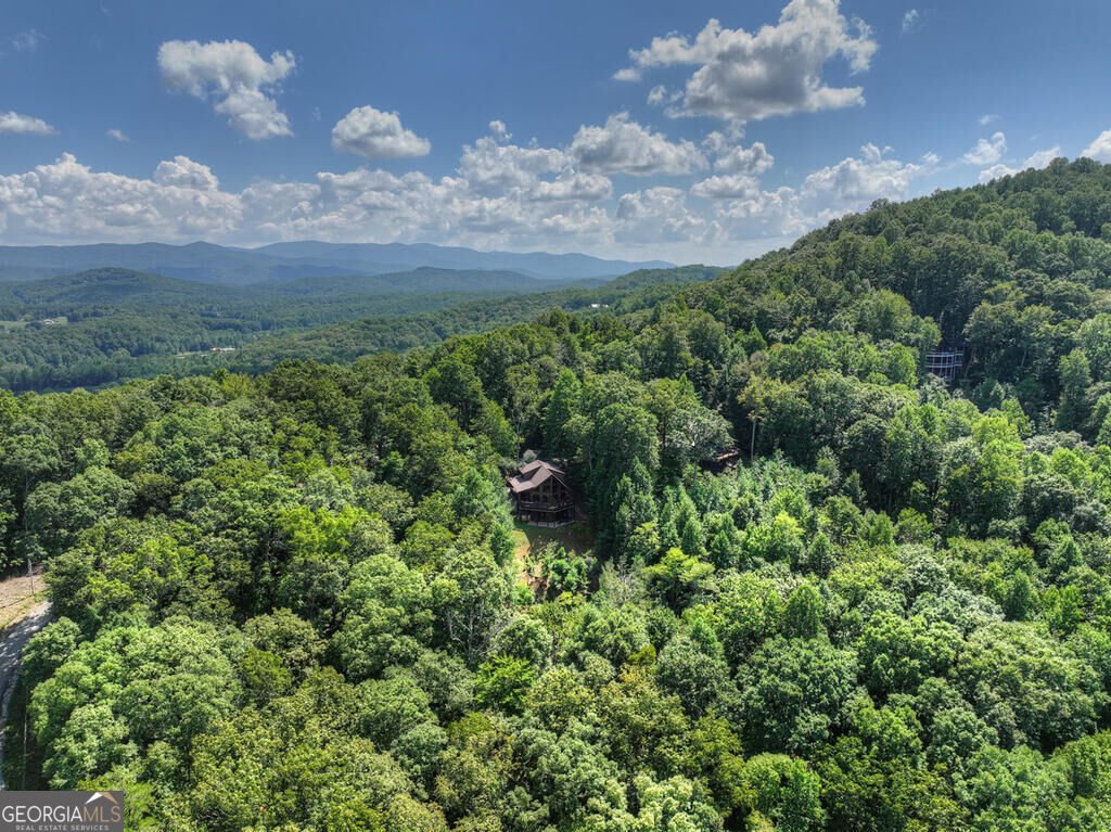 8 North Face Drive Blue Ridge - Photo 6