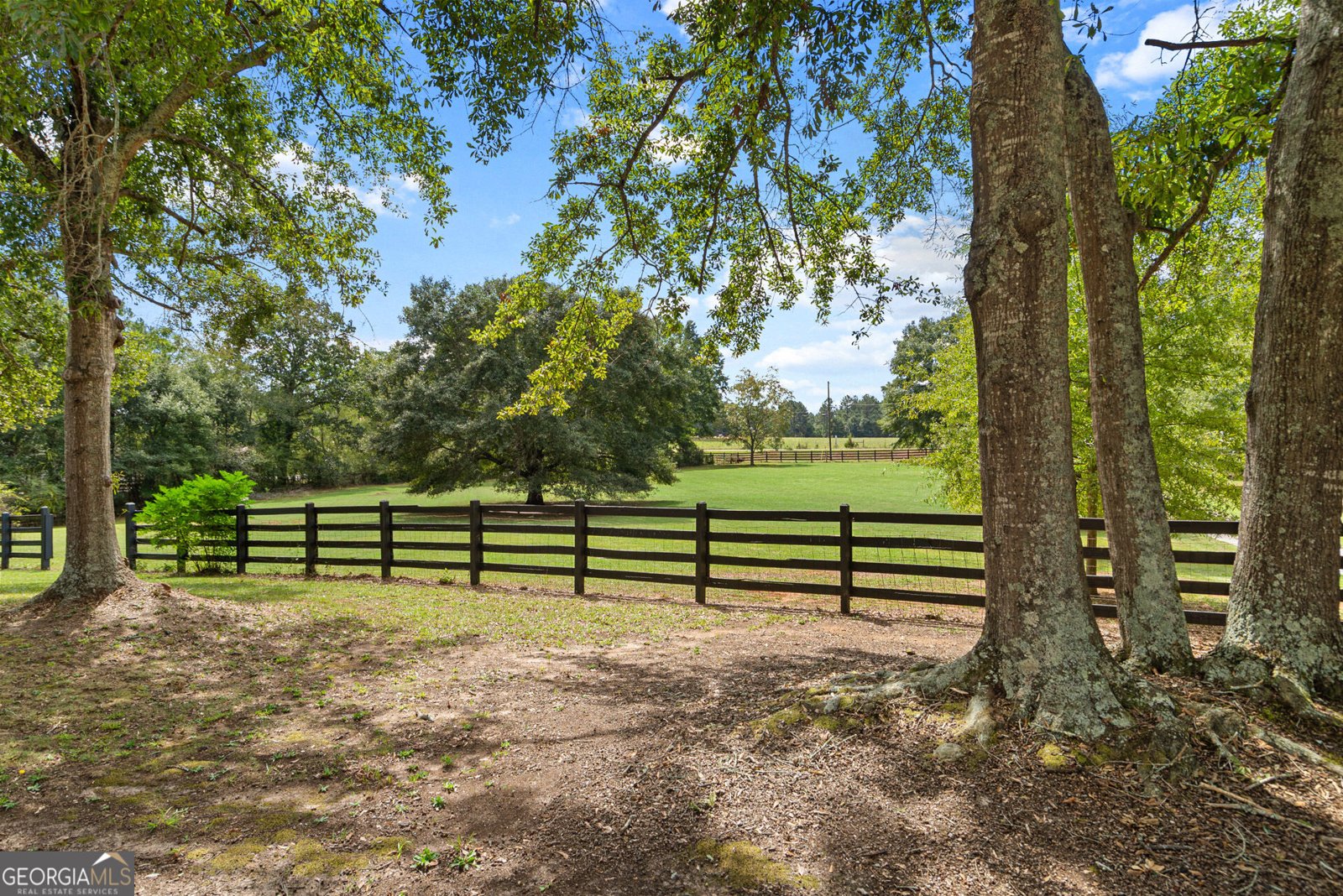 3905 Prospect Road Rutledge - Photo 10
