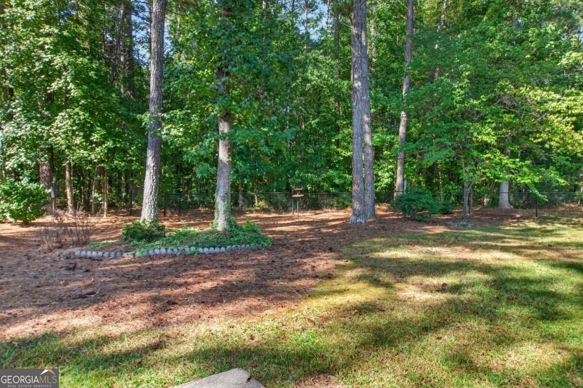 15 Christian Woods Court Conyers - Photo 21