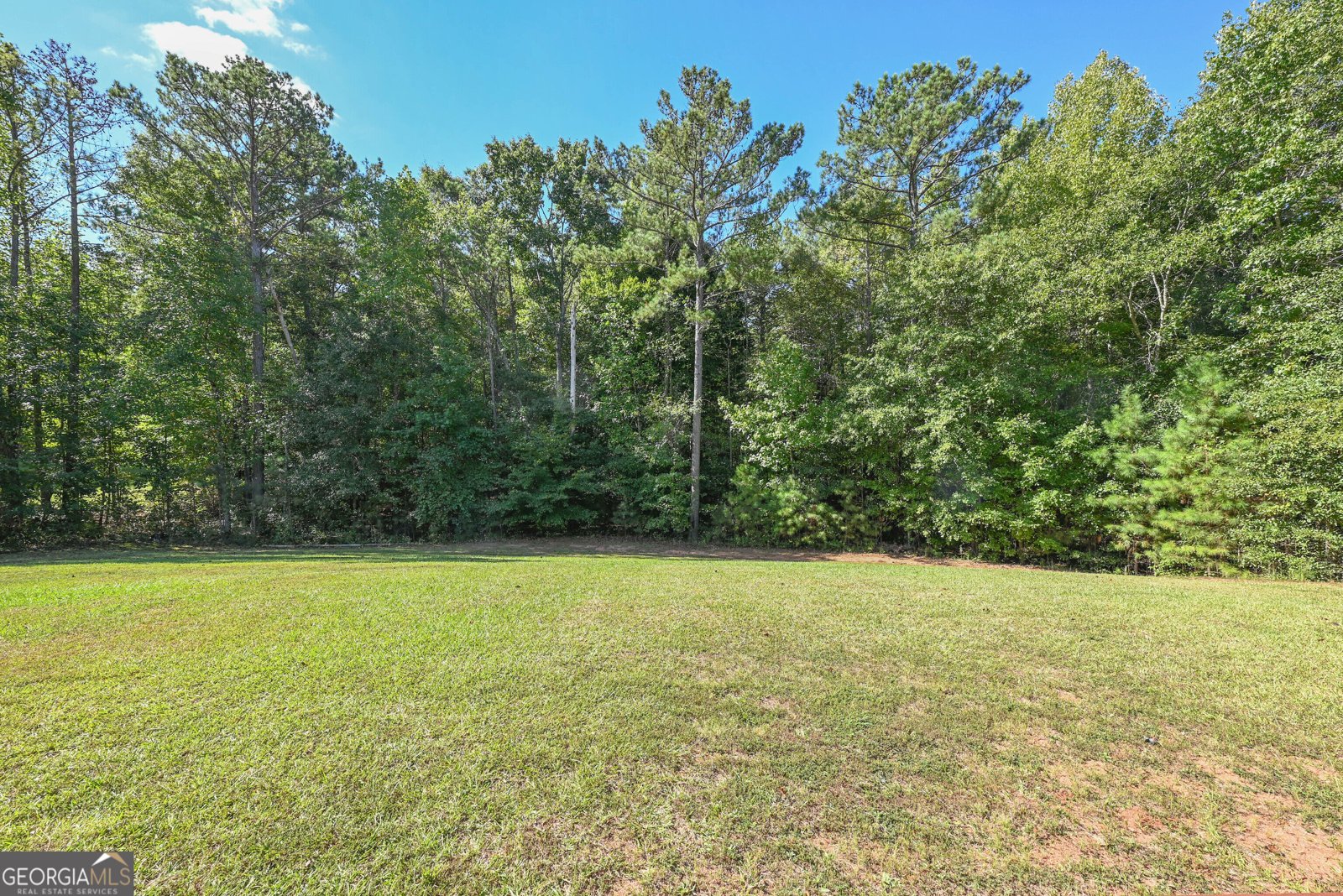 289 Hickory Hills Drive Newnan - Photo 29