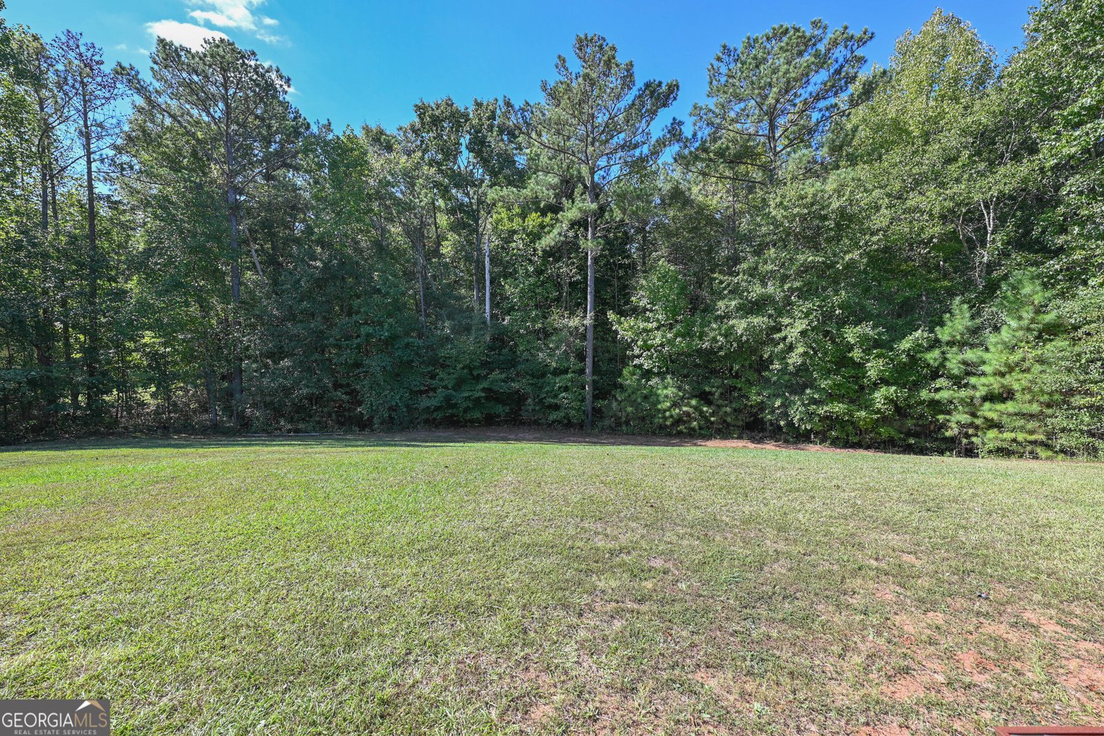 289 Hickory Hills Drive Newnan - Photo 30