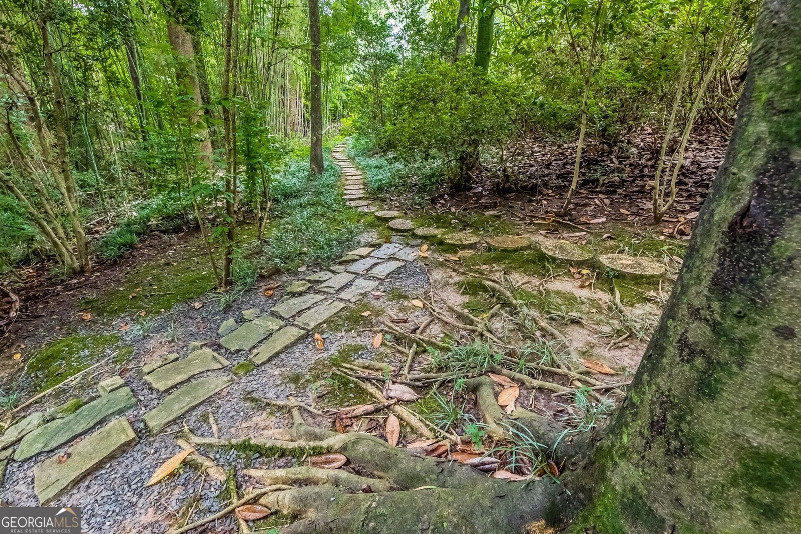 2320 Lavista Road Atlanta - Photo 43