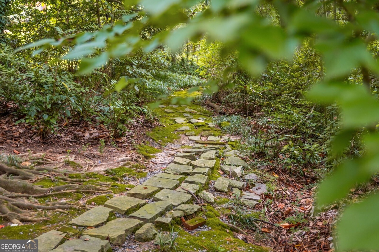 2320 Lavista Road Atlanta - Photo 46