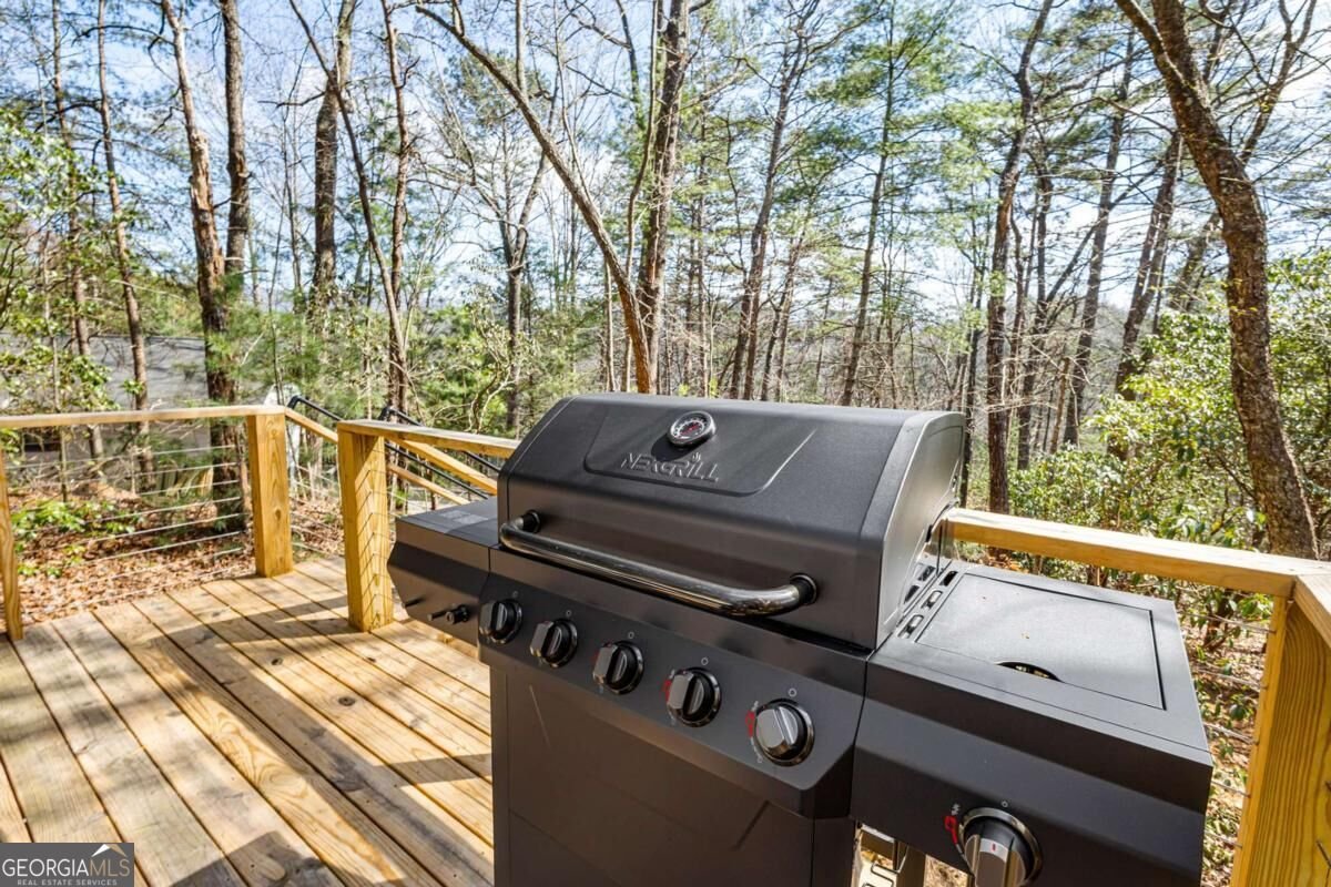 206 Anderson Drive Blue Ridge - Photo 44