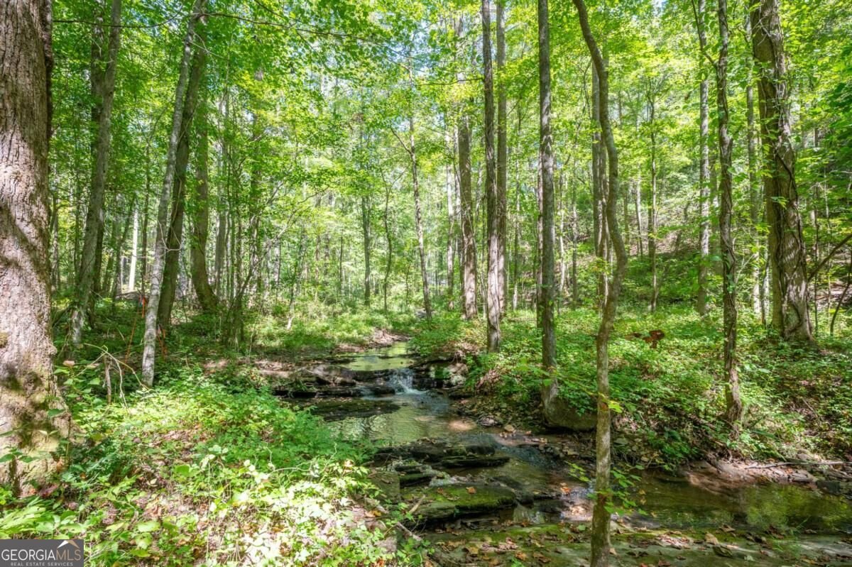 857 Talking Rock Falls Jasper - Photo 11
