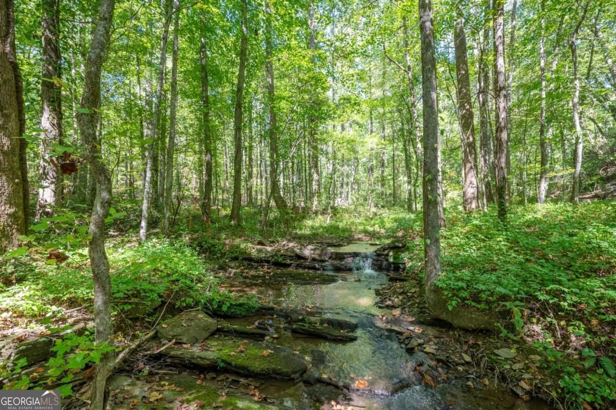 857 Talking Rock Falls Jasper - Photo 12