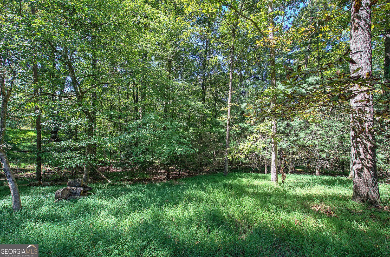 2108 Blackberry Mtn Road Ellijay - Photo 61