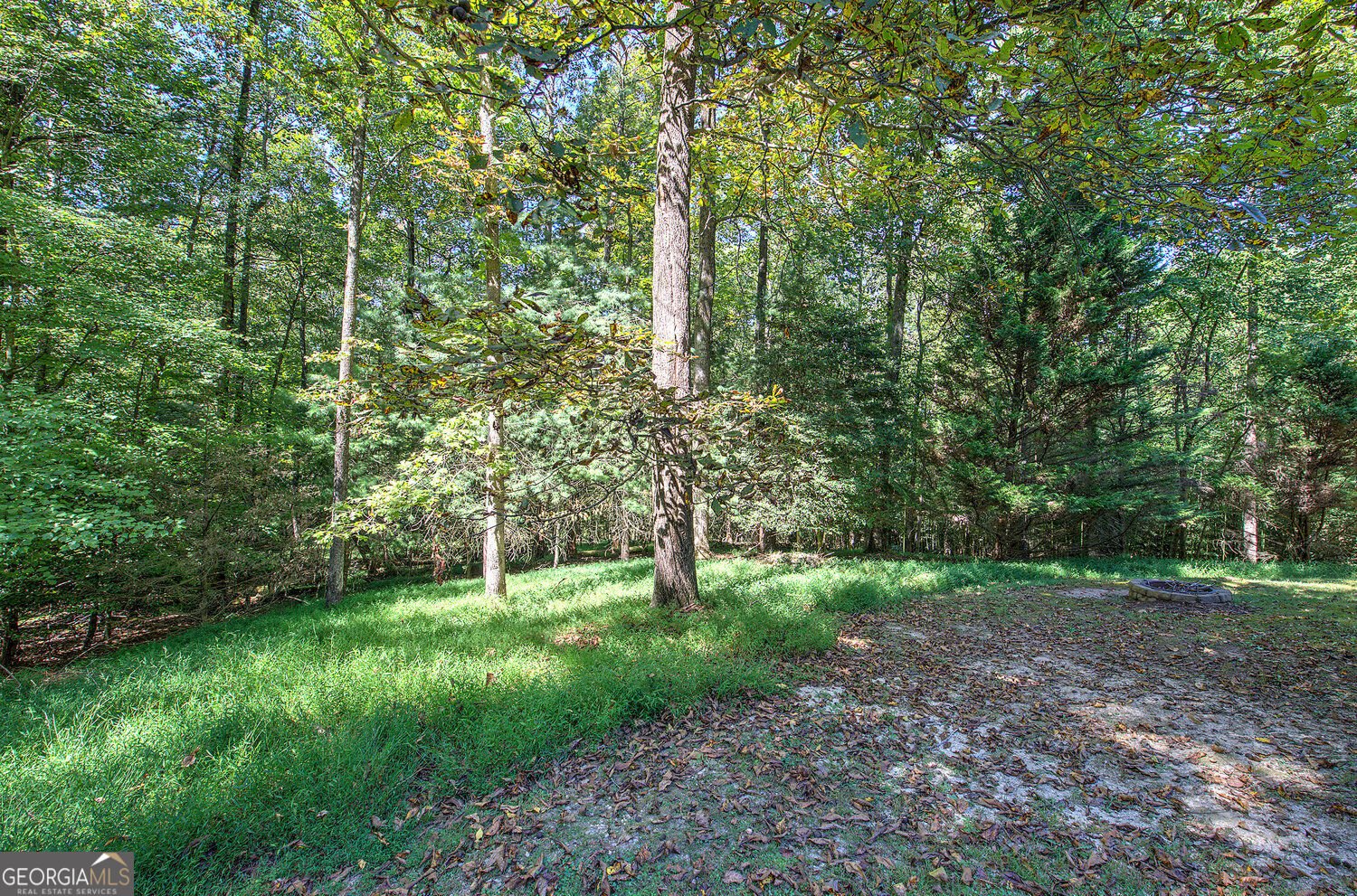 2108 Blackberry Mtn Road Ellijay - Photo 62