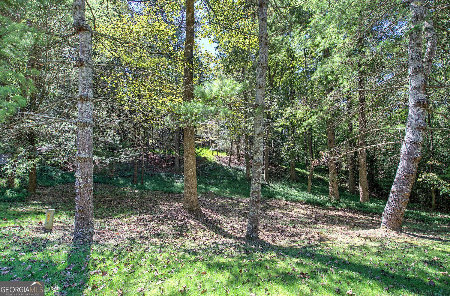 2108 Blackberry Mtn Road Ellijay - Photo 63