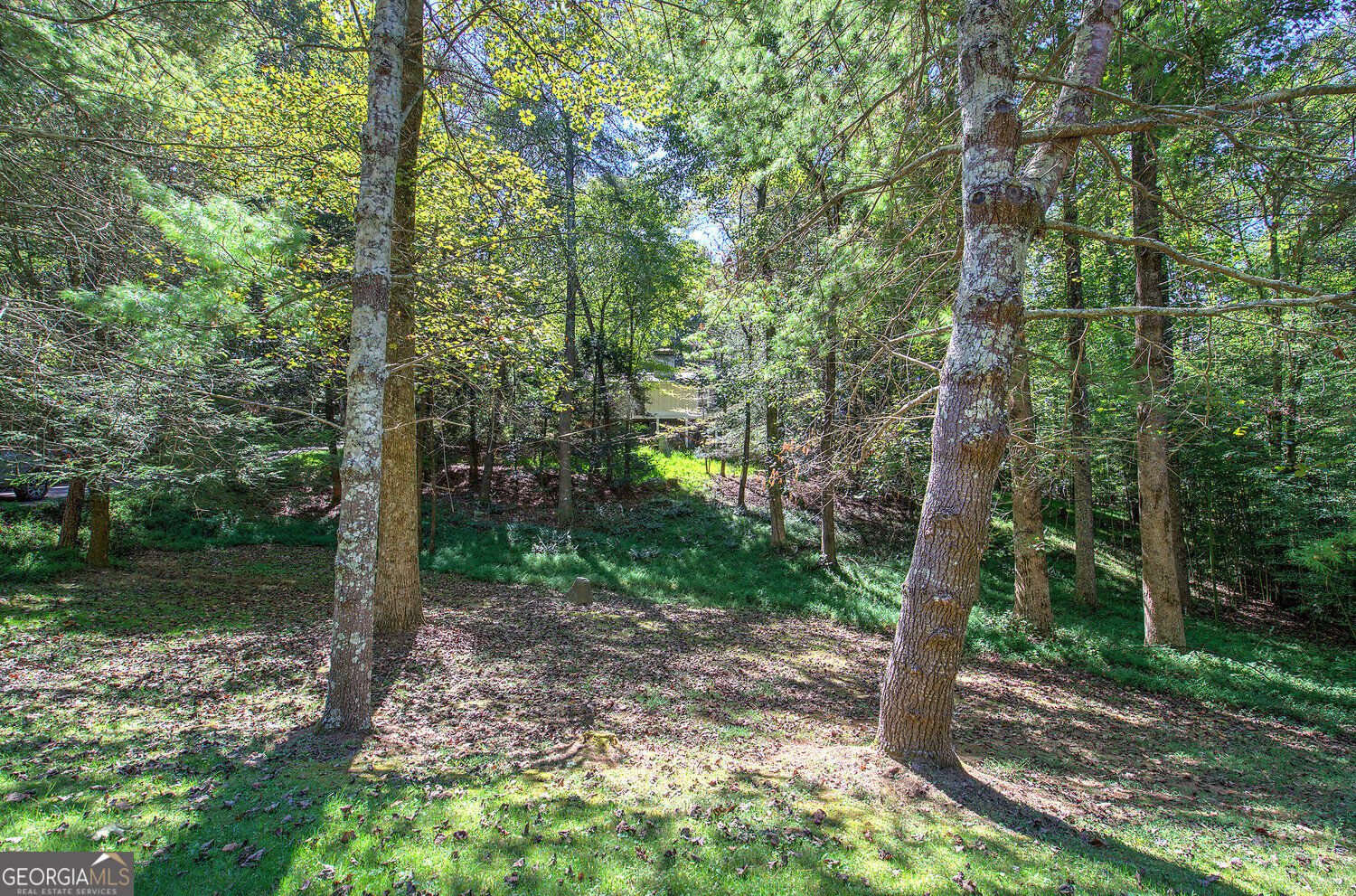 2108 Blackberry Mtn Road Ellijay - Photo 65