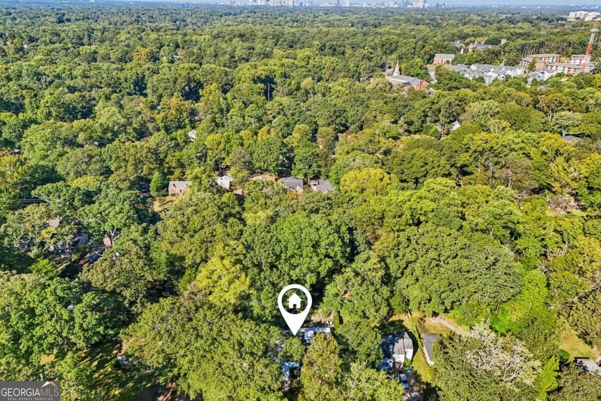 1173 Forrest Boulevard Decatur - Photo 46