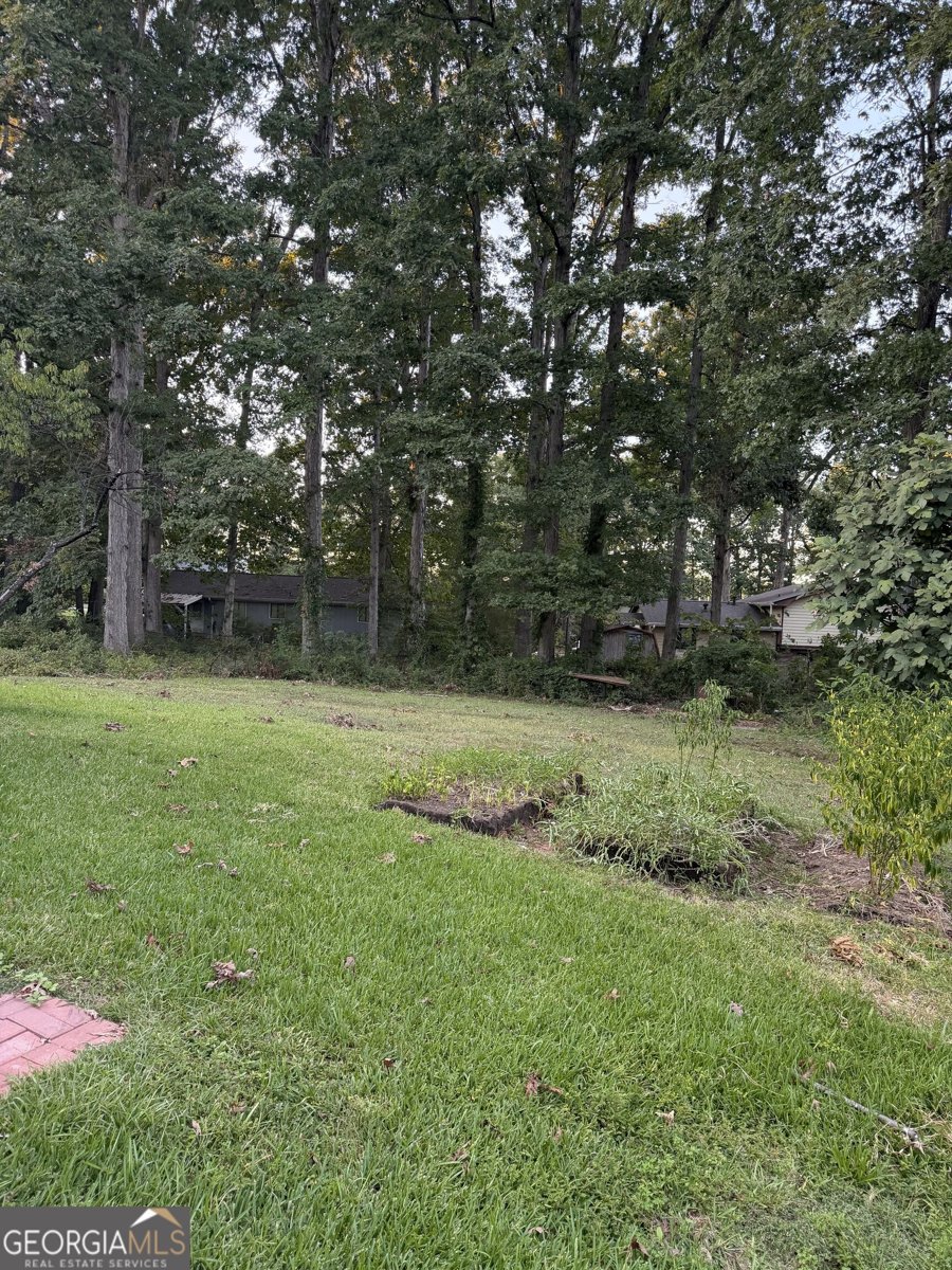 2478 Nugget Drive Conyers - Photo 9