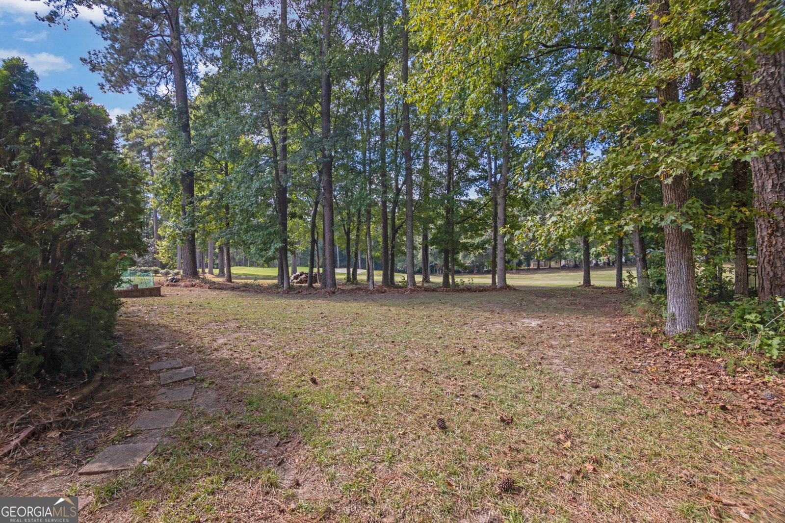 107 Crofts Corner Peachtree City - Photo 32
