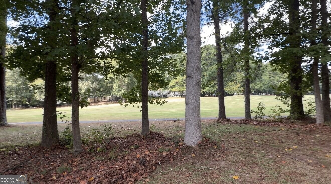107 Crofts Corner Peachtree City - Photo 37