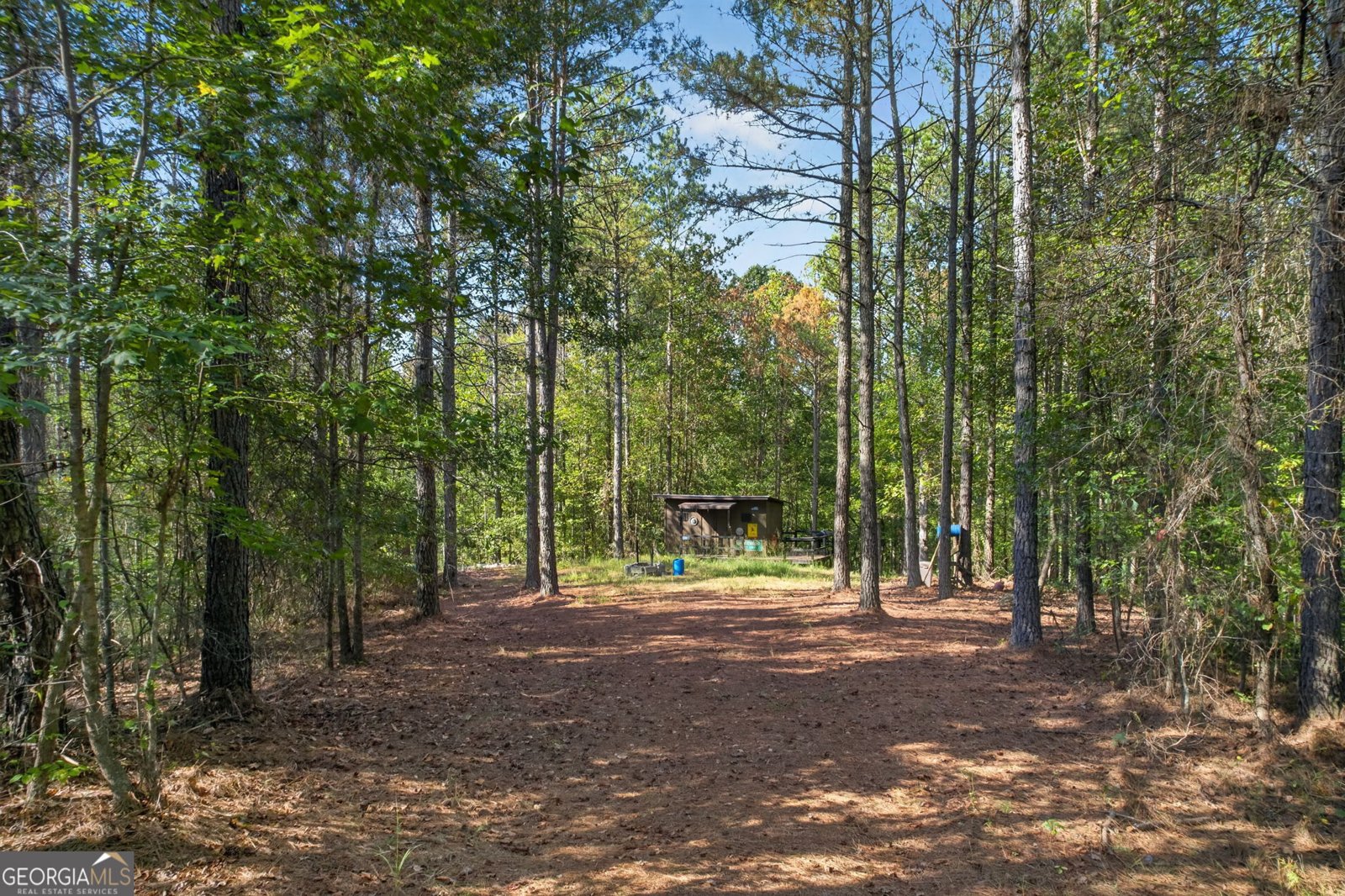 410 PLEASANT HILL Road Rockmart - Photo 32