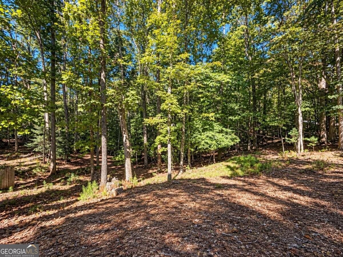 1466 Newport Drive Ellijay - Photo 8