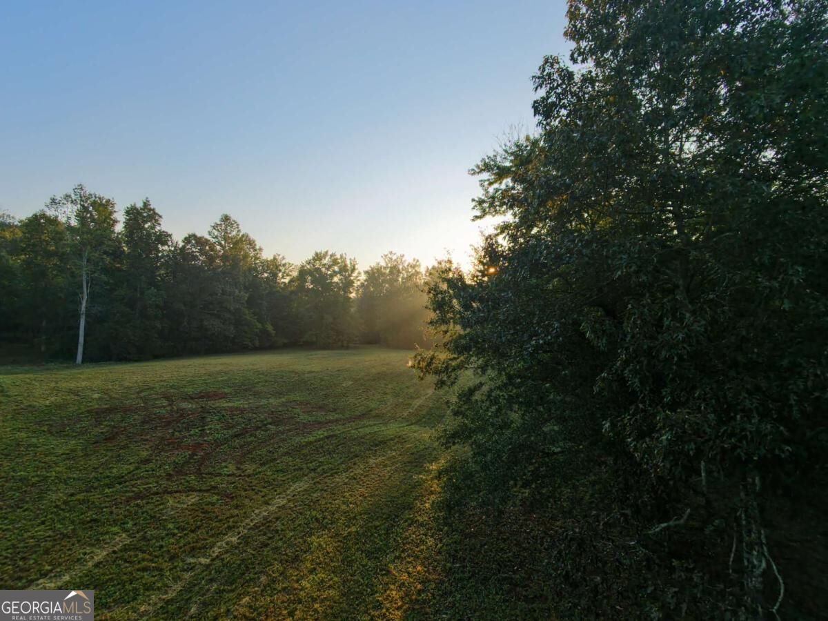 2907 Hightower Road Ball Ground - Photo 38