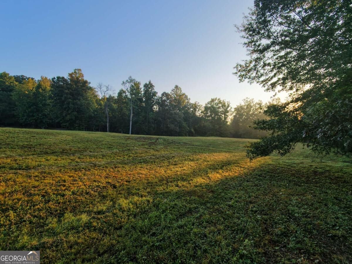 2907 Hightower Road Ball Ground - Photo 39