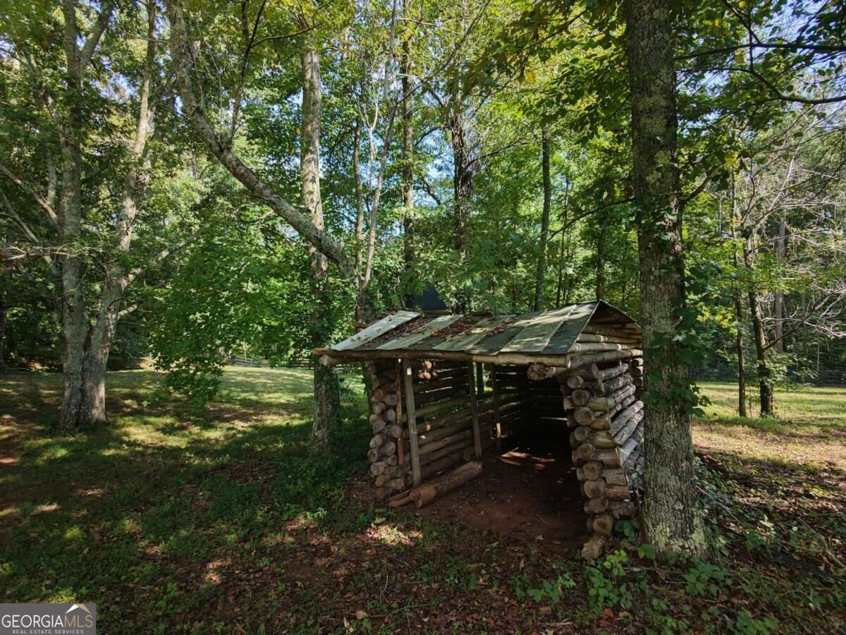 2907 Hightower Road Ball Ground - Photo 41
