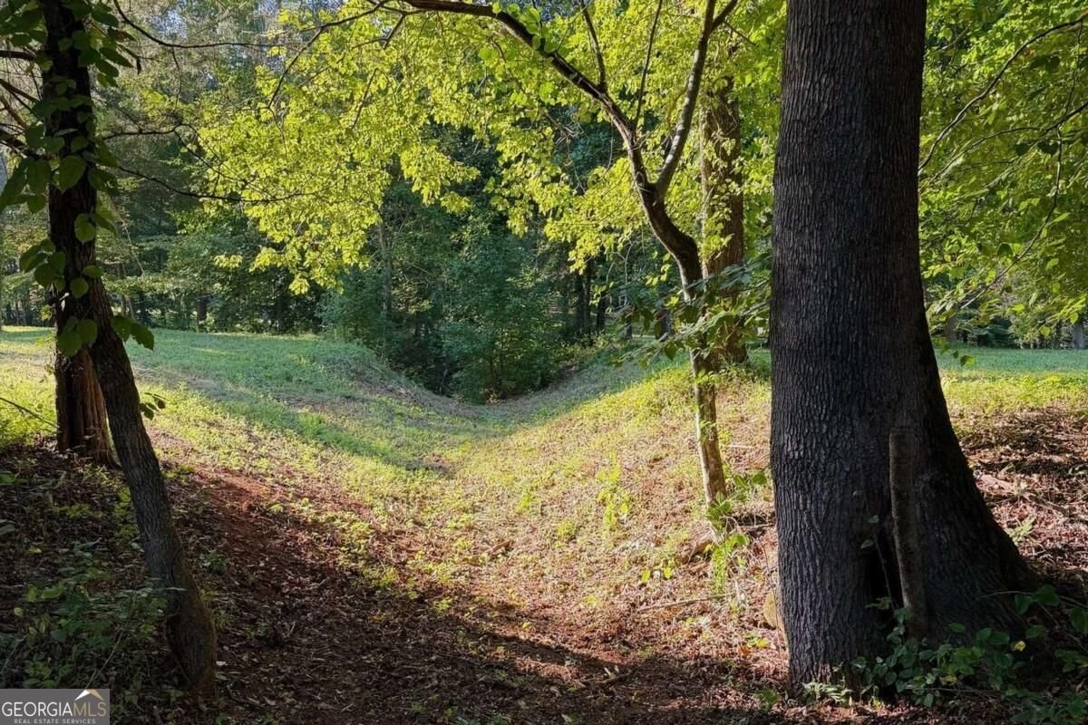 2907 Hightower Road Ball Ground - Photo 42