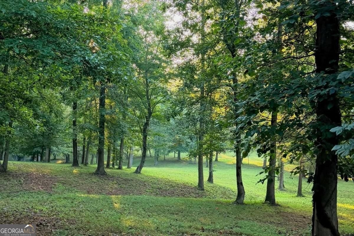 2907 Hightower Road Ball Ground - Photo 46