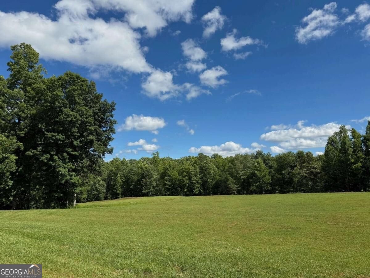 2907 Hightower Road Ball Ground - Photo 48