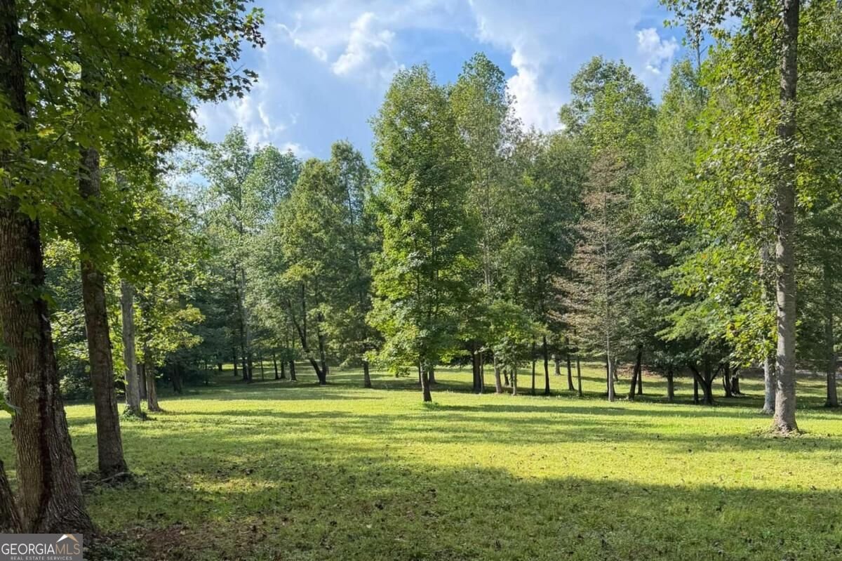 2907 Hightower Road Ball Ground - Photo 49