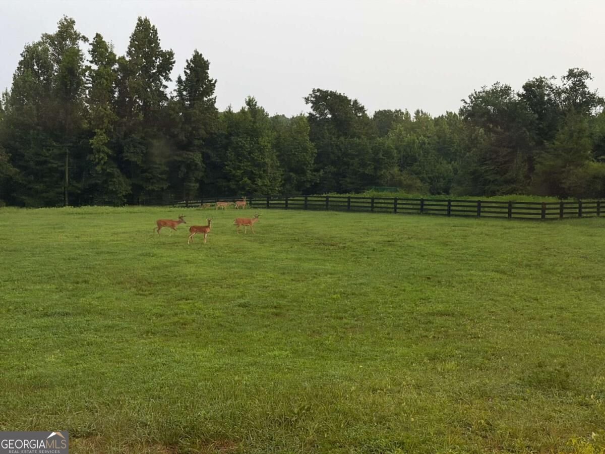 2907 Hightower Road Ball Ground - Photo 51