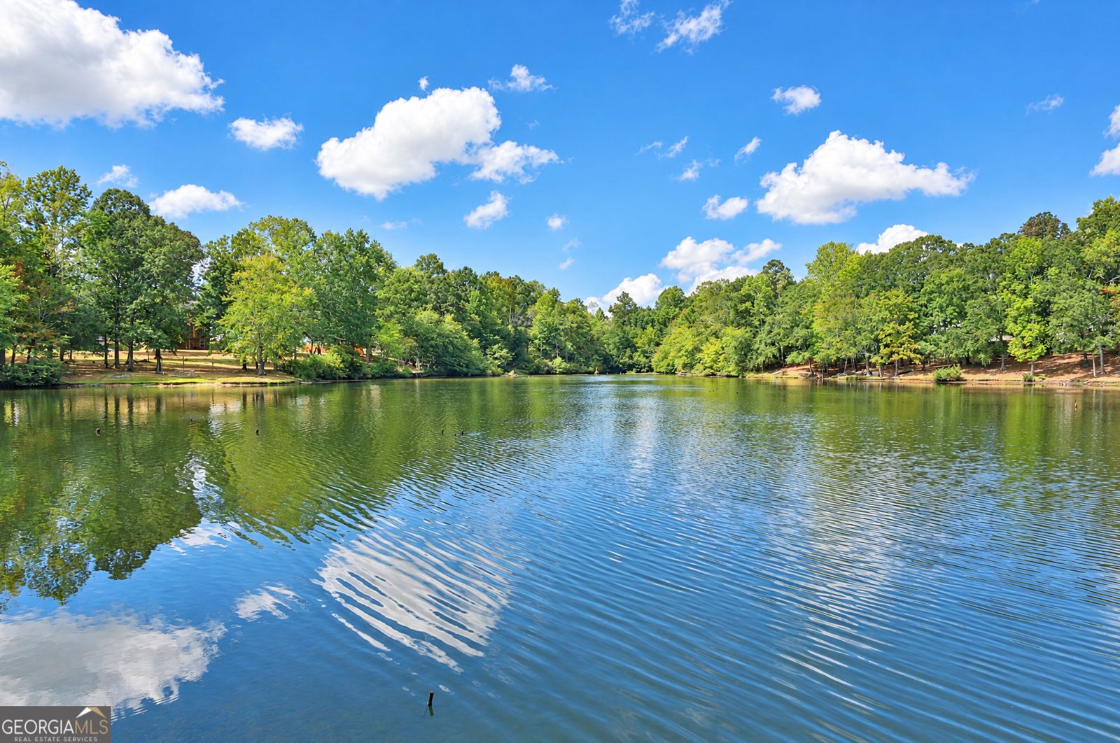 135 Carlisle Street Newnan - Photo 55