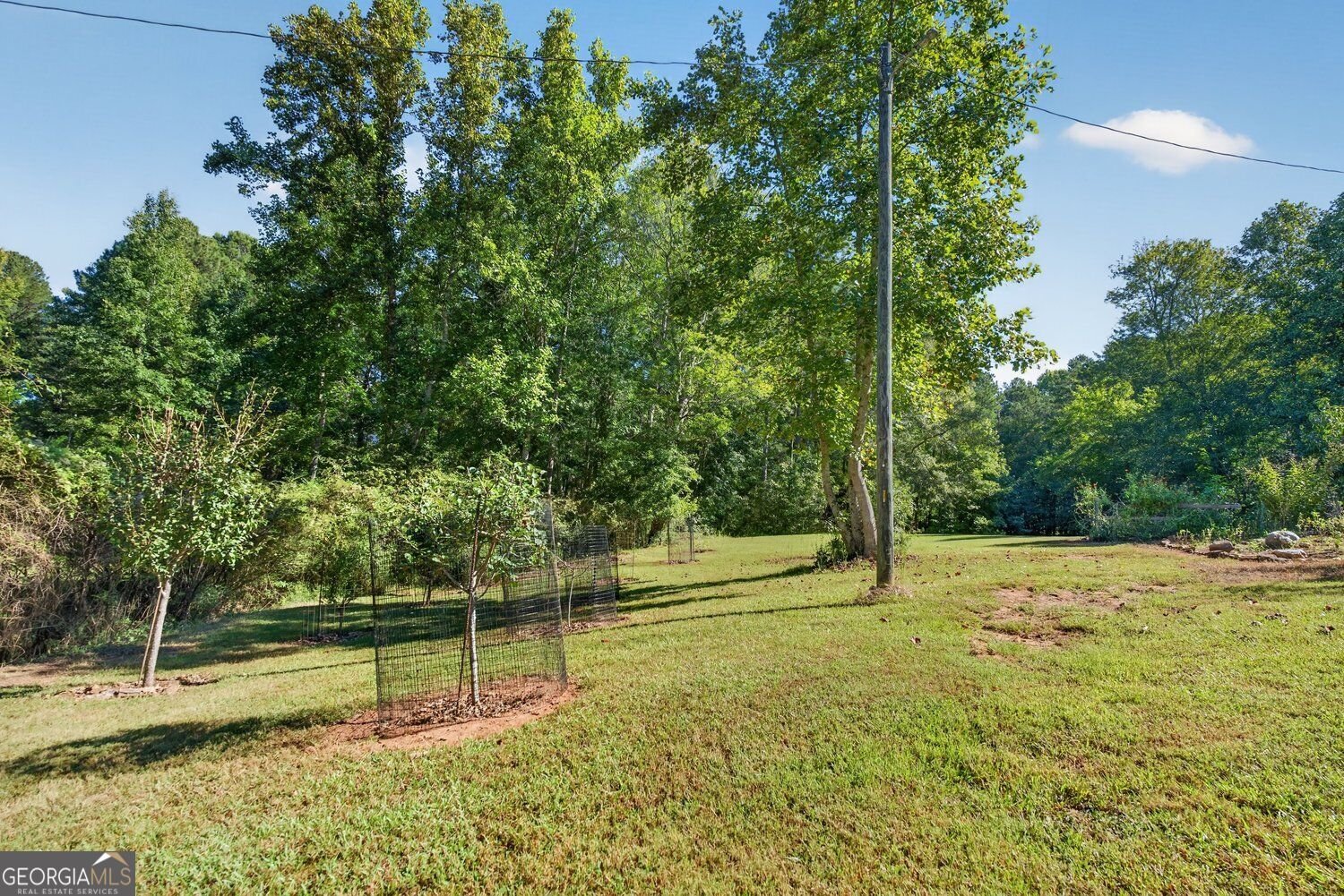 9170 Wilkerson Mill Road Chattahoochee Hills - Photo 13