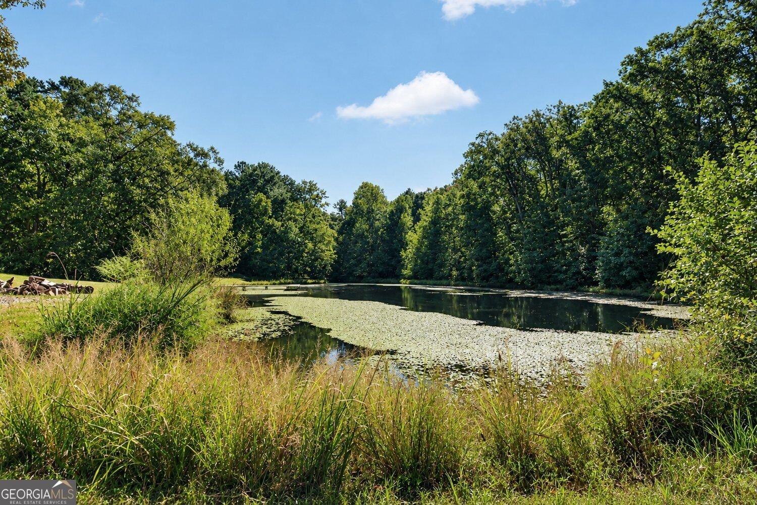 9170 Wilkerson Mill Road Chattahoochee Hills - Photo 42