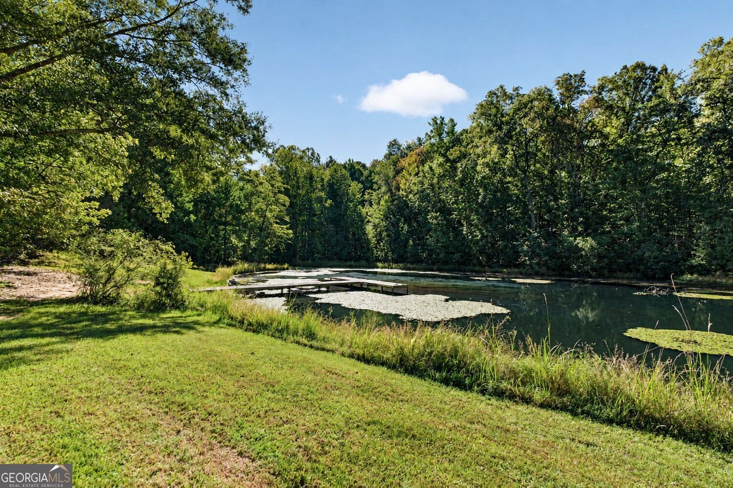 9170 Wilkerson Mill Road Chattahoochee Hills - Photo 43