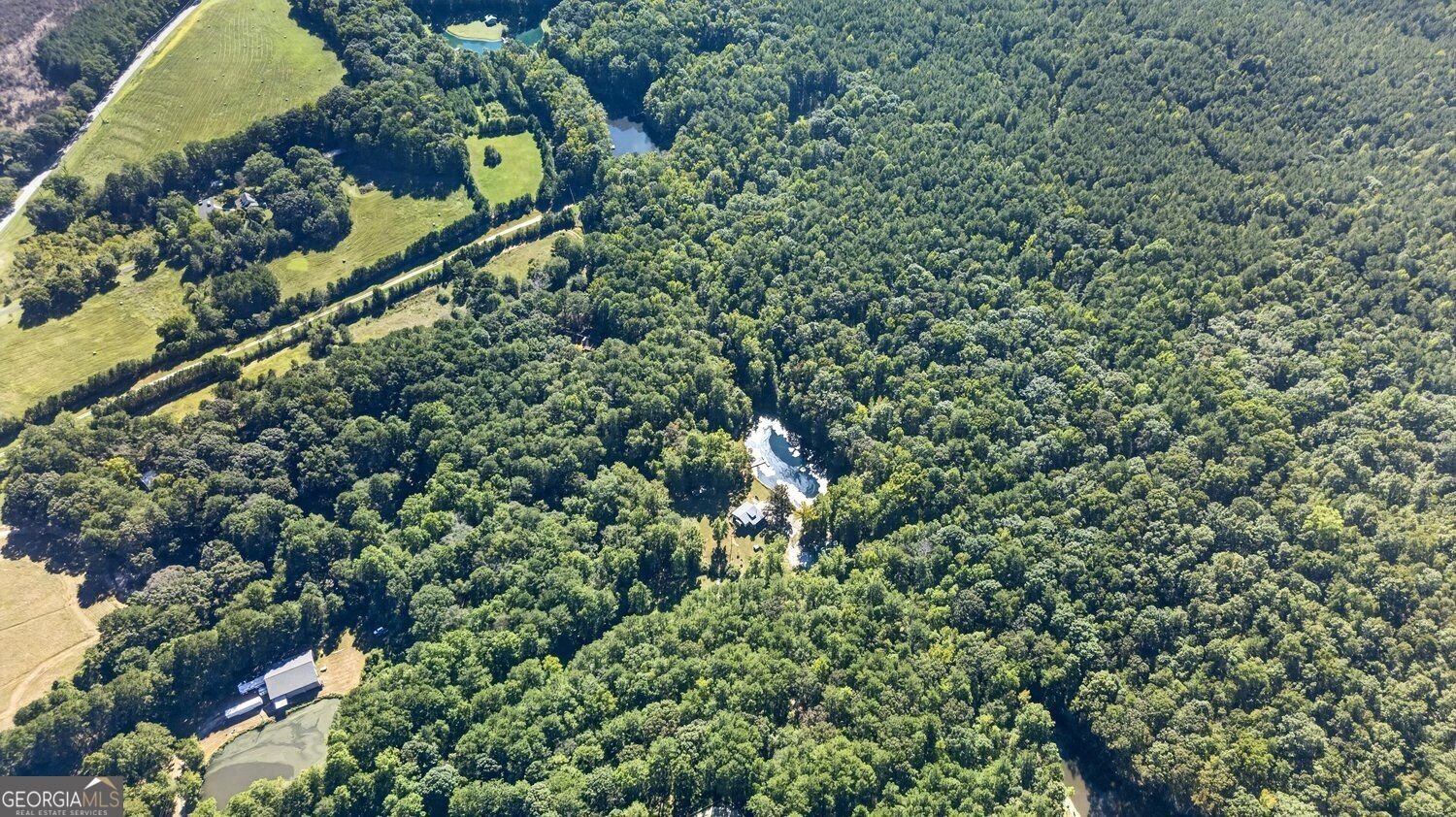 9170 Wilkerson Mill Road Chattahoochee Hills - Photo 8