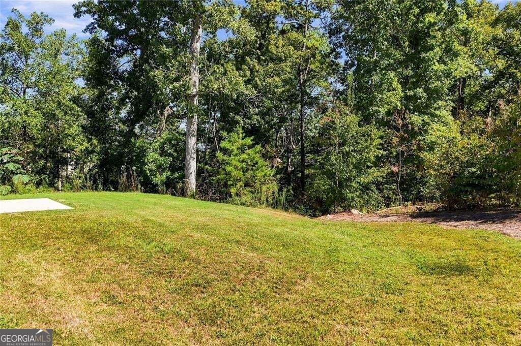437 Tom Avery Drive Ball Ground - Photo 46