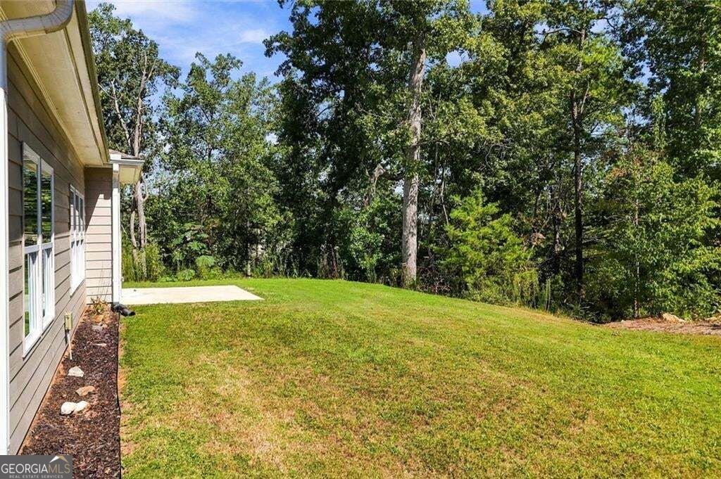 437 Tom Avery Drive Ball Ground - Photo 47