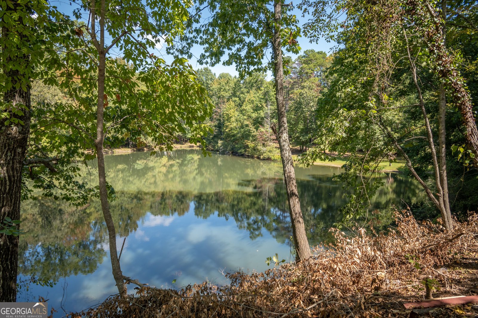 160 Lake Forest Drive ATHENS - Photo 66