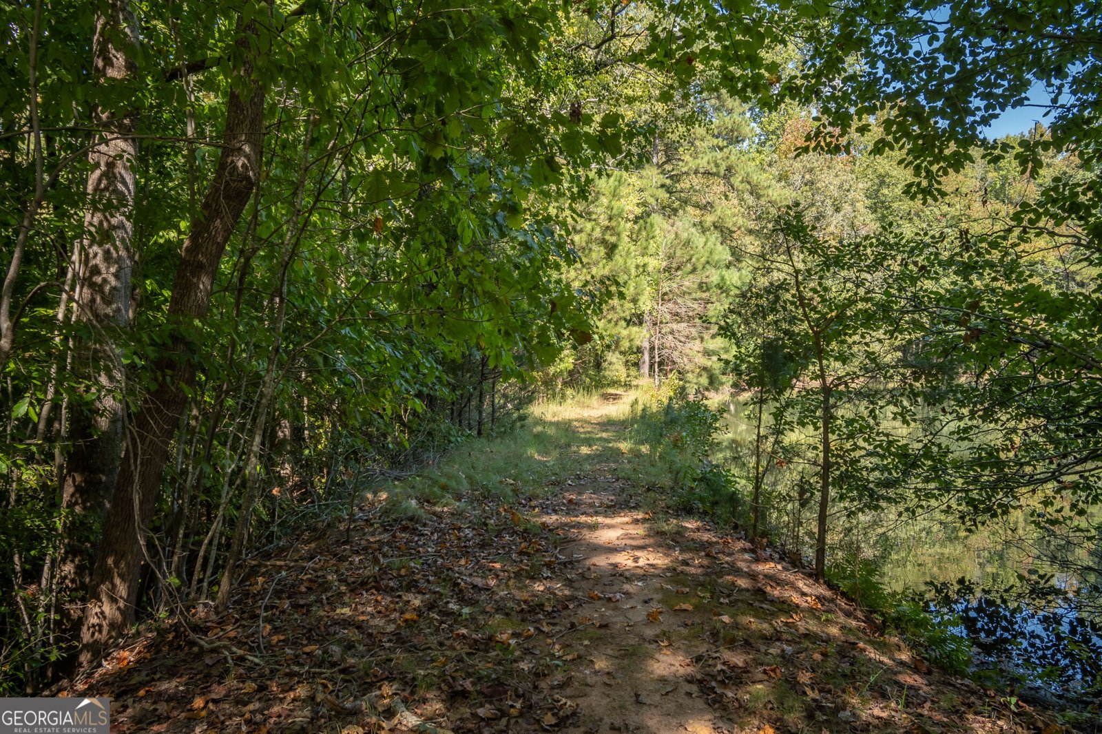 160 Lake Forest Drive ATHENS - Photo 67